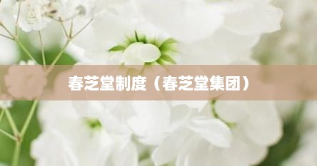 春芝堂制度（春芝堂集团）