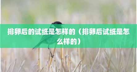 排卵后的试纸（排卵过后排卵试纸是什么样的）