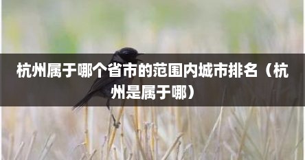 杭州属于哪个省市的范围内城市排名（杭州是属于哪）