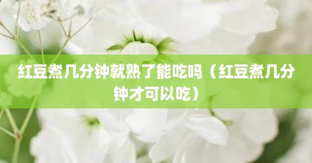 红豆煮几分钟就熟了能吃吗（红豆煮几分钟才可以吃）