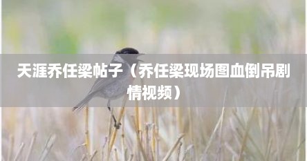 天涯乔任梁帖子（乔任梁现场图血倒吊剧情视频）