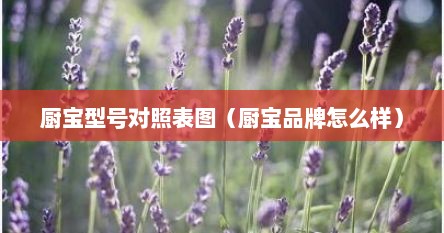 厨宝型号对照表图（厨宝品牌怎么样）