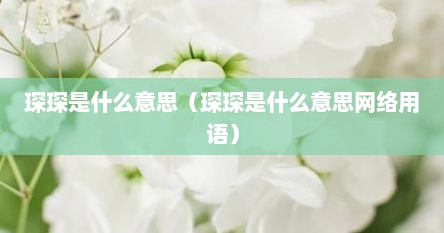 琛琛是什么意思（琛琛是什么意思网络用语）