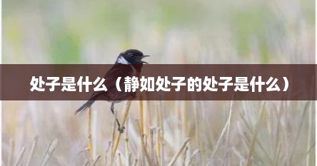 处子是什么（静茹处子的处子是什么）