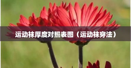运动袜厚度对照表图（运动袜穿法）