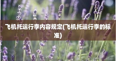飞机托运行李内容规定(飞机托运行李的标准)