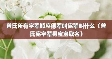 曾氏所有字辈顺序德辈叫宪辈叫什么(曾氏宪字辈男宝宝取名)