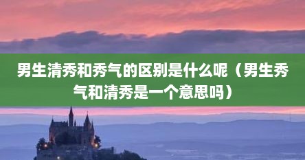 男生清秀和秀气的区别是什么呢（男生秀气和清秀是一个意思吗）