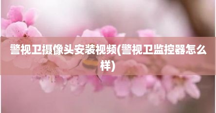 警视卫摄像头安装视频(警视卫监控器怎么样)