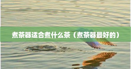 煮茶器适合煮什么茶（煮茶器最好的）