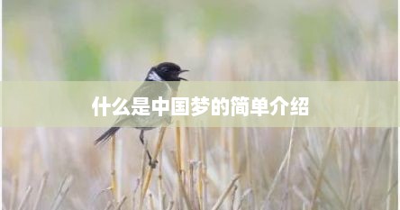 什么是中国梦的简单介绍