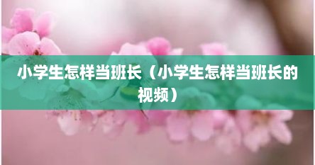 小学生怎样当班长（小学生怎样当班长的视频）