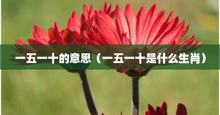 一五一十的意思（一五一十是什么生肖）