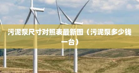 污泥泵尺寸对照表最新图（污泥泵多少钱一台）