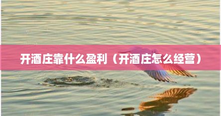 开酒庄靠什么盈利（开酒庄怎么经营）