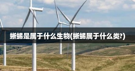 蜥蜴是属于什么生物(蜥蜴属于什么类?)