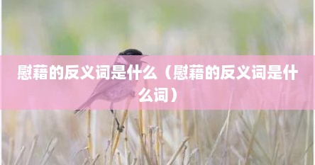 慰藉的反义词是什么（慰藉的反义词是什么词）