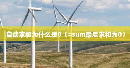 自动求和为什么是0（=sum最后求和为0）