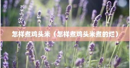 怎样煮鸡头米（怎样煮鸡头米煮的烂）