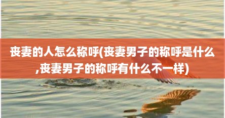 丧妻的人怎么称呼(丧妻男子的称呼是什么,丧妻男子的称呼有什么不一样)