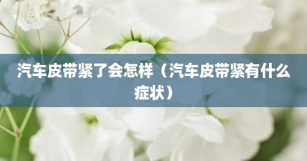 汽车皮带紧了会怎样（汽车皮带紧有什么症状）