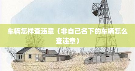 车辆怎样查违章（非自己名下的车辆怎么查违章）