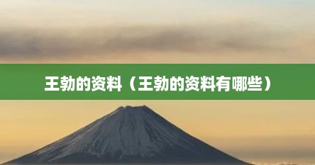 王勃的资料（王勃的资料有哪些）