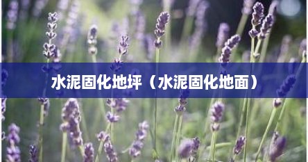 水泥固化地坪（水泥固化地面）