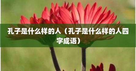 孔子是什么样的人（孔子是什么样的人四字成语）