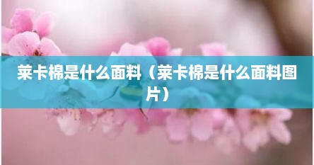 莱卡棉是什么面料（莱卡棉是什么面料图片）