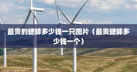 最贵的蟋蟀多少钱一只图片（最贵蟋蟀多少钱一个）
