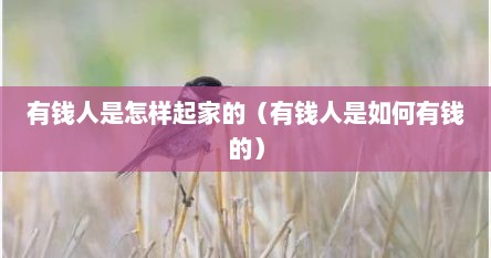 有钱人到底是怎么赚的（有钱人都是怎么起来的）