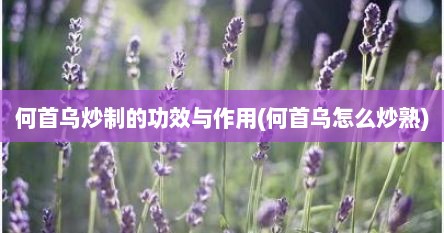何首乌炒制的功效与作用(何首乌怎么炒熟)