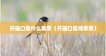 开端口是什么意思（开端口是啥意思）