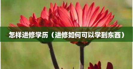 怎样进修学历(进修如何可以学到东西)
