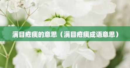 满目疮痍的意思（满目疮痍成语意思）
