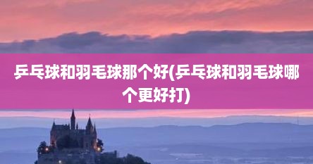 乒乓球和羽毛球那个好(乒乓球和羽毛球哪个更好打)