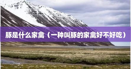 豚是什么家禽（一种叫豚的家禽好不好吃）