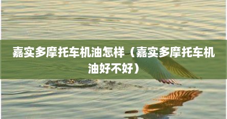 嘉实多摩托车机油怎样（嘉实多摩托车机油好不好）