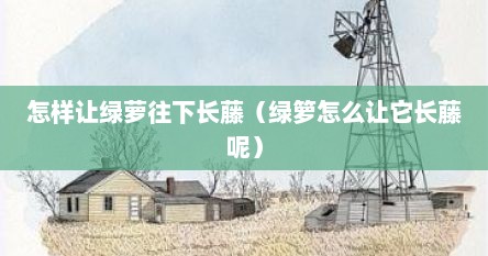 怎样让绿萝往下长藤（绿箩怎么让它长藤呢）