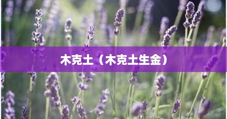 木克土（木克土生金）