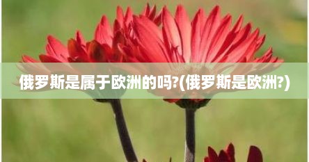 俄罗斯是属于欧洲的吗?(俄罗斯是欧洲?)