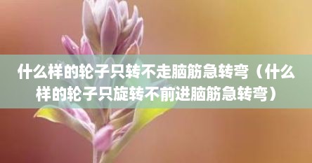 什么样的轮子只转不走脑筋急转弯（什么样的轮子只旋转不前进脑筋急转弯）