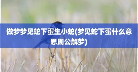 做梦梦见蛇下蛋生小蛇(梦见蛇下蛋什么意思周公解梦)