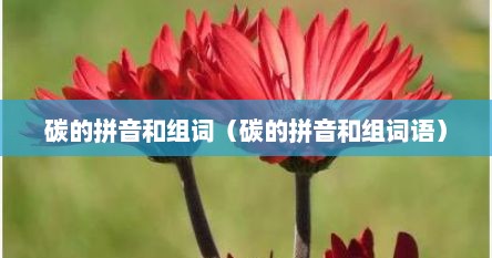 碳的拼音和组词（碳的拼音和组词语）