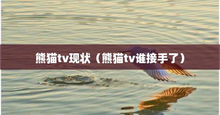 熊猫tv现状（熊猫tv谁接手了）