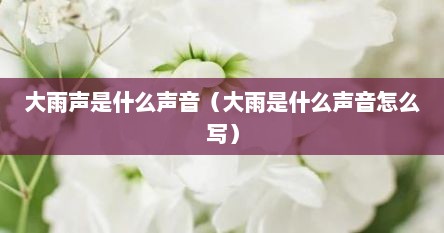 大雨声是什么声音（大雨是什么声音怎么写）