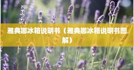 雅典娜冰箱说明书（雅典娜冰箱说明书图解）