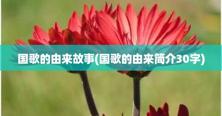 国歌的由来故事(国歌的由来简介30字)