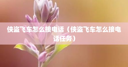侠盗飞车怎么接电话（侠盗飞车怎么接电话任务）